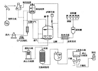 微生物发酵原理图