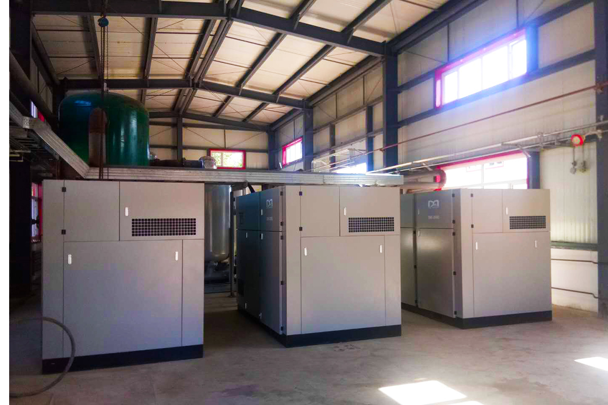 DM-250G  现场